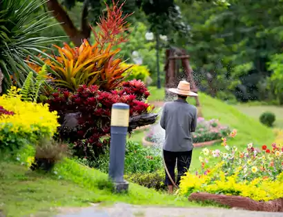 Landscaping Industry